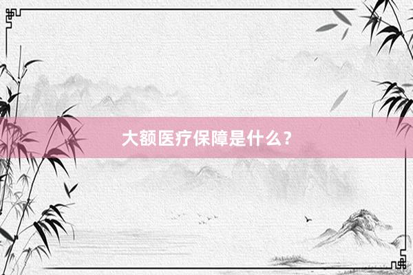 大额医疗保障是什么？