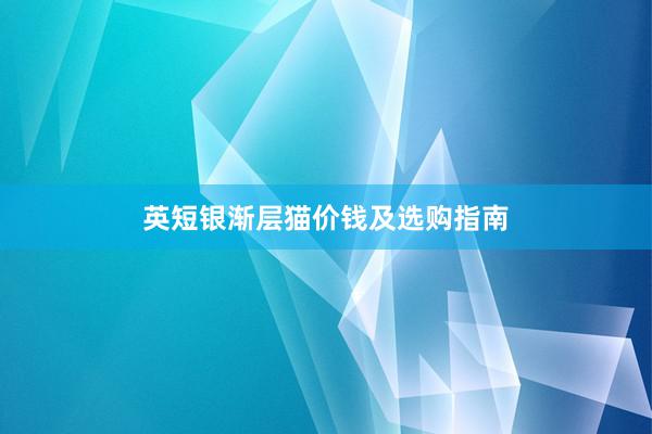 英短银渐层猫价钱及选购指南