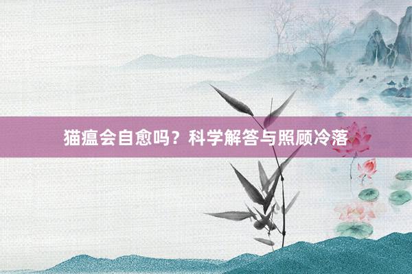 猫瘟会自愈吗？科学解答与照顾冷落