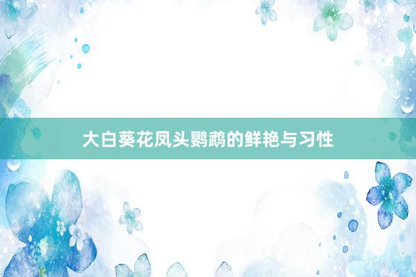 大白葵花凤头鹦鹉的鲜艳与习性