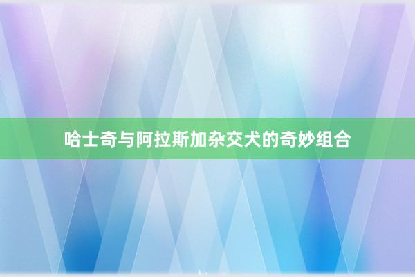 哈士奇与阿拉斯加杂交犬的奇妙组合